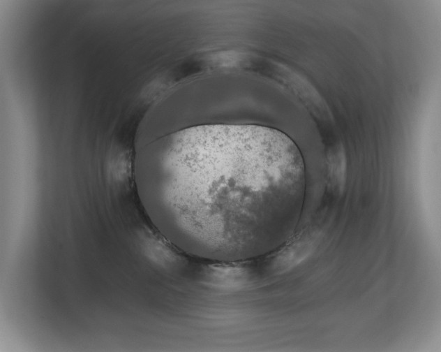 X0000112800284200908211140