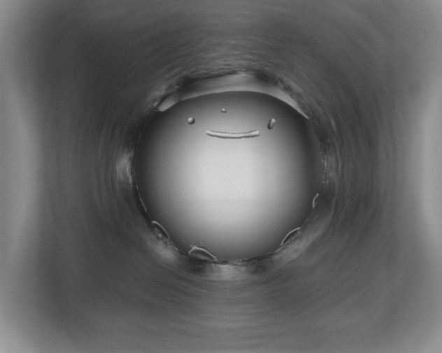 X0000112800286200908211140