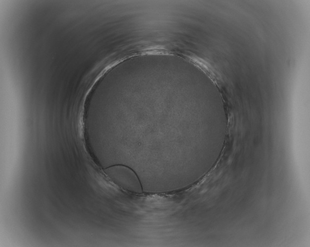 X0000112800290200908211139