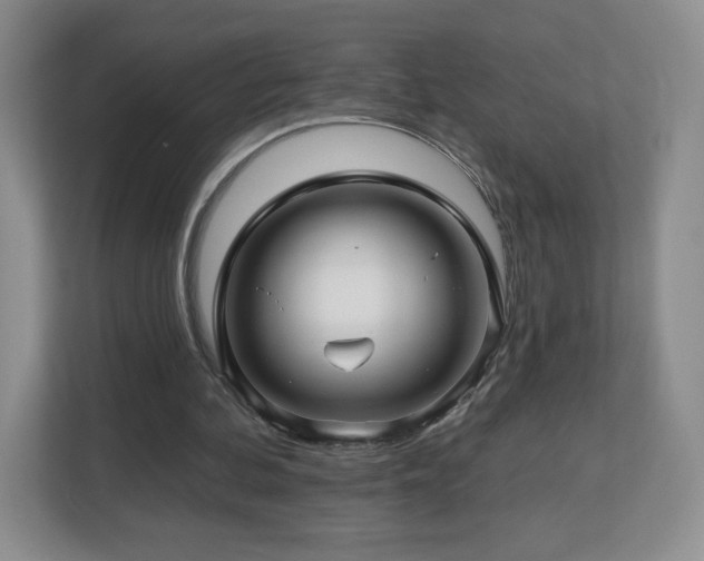 X0000112800292200908211139