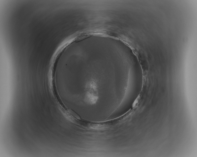 X0000112800293200908211139
