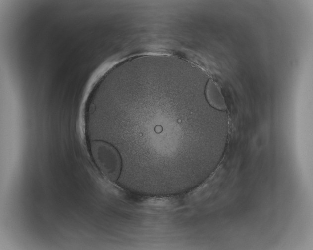 X0000112800294200908211139
