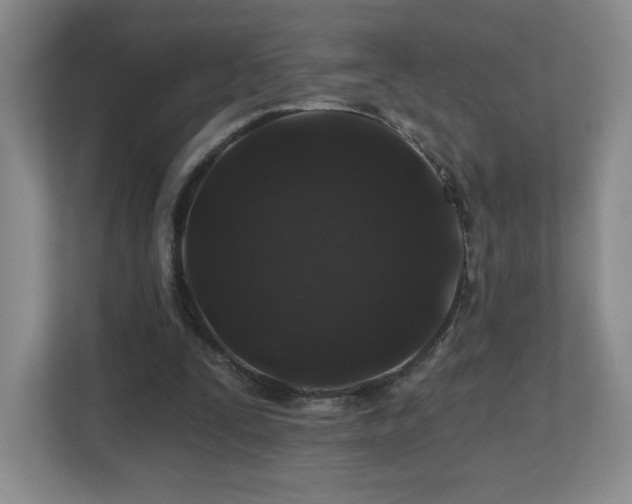 X0000112800295200908211139