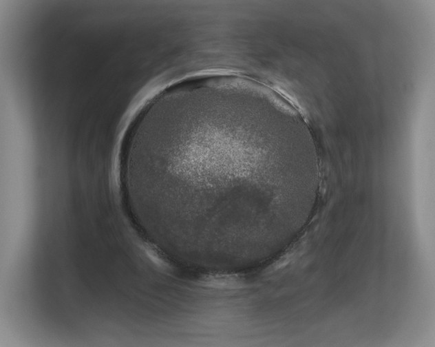 X0000112800296200908211139