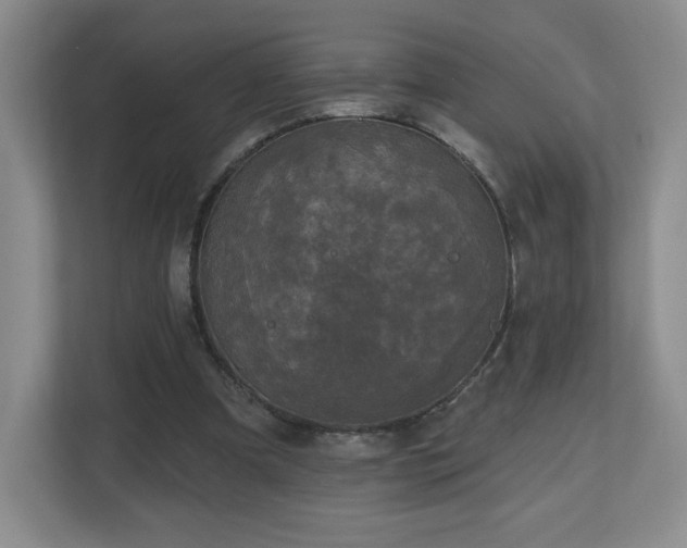 X0000112800297200908211139