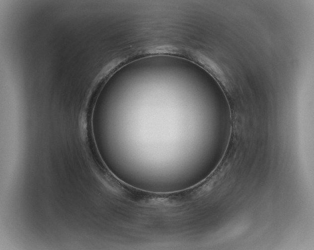 X0000112800298200908211139
