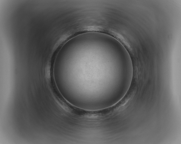 X0000112800299200908211139