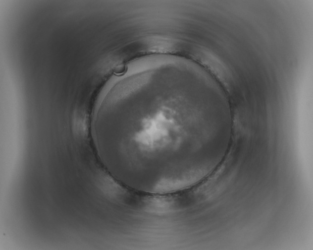 X0000112800305200908211139
