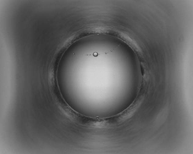 X0000112800306200908211139