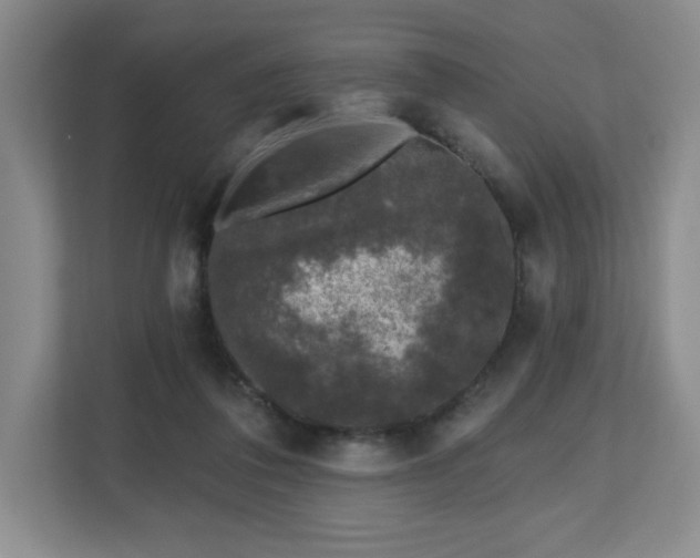 X0000112800308200908211139