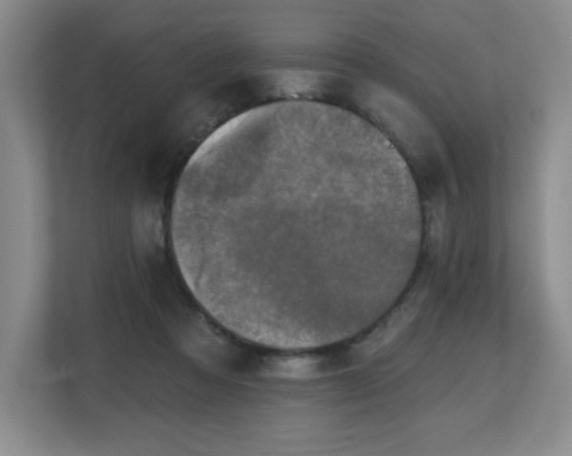 X0000112800313200908211139