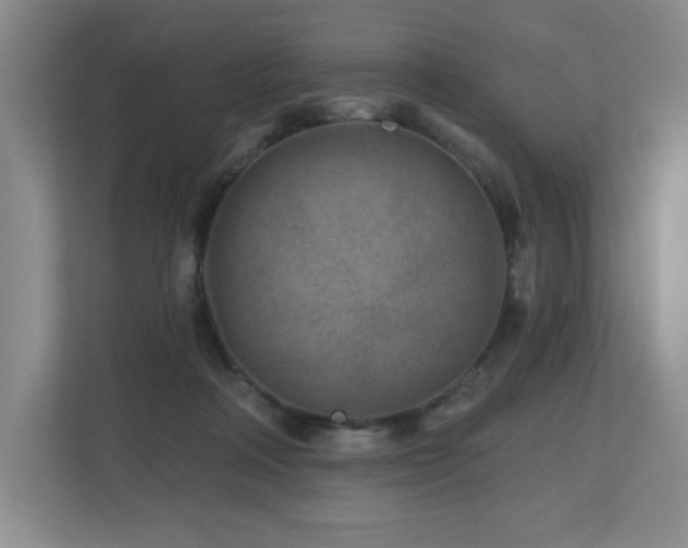 X0000112800314200908211139