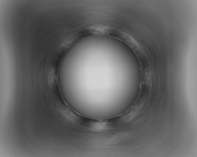 X0000112800318200908211139
