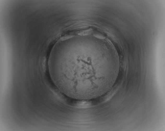 X0000112800319200908211139