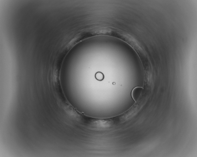 X0000112800326200908211139