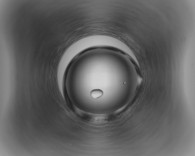 X0000112800327200908211139