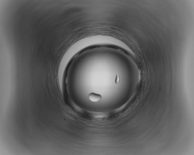 X0000112800328200908211139