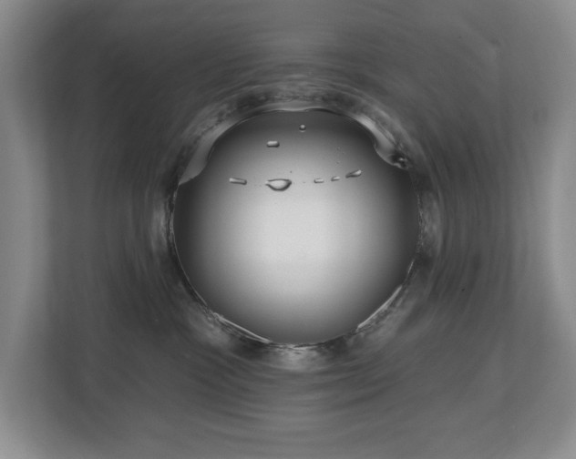 X0000112800333200908211138