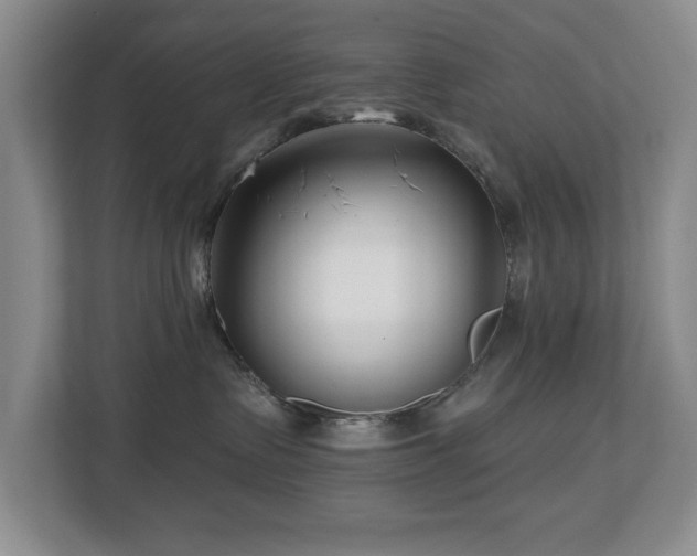 X0000112800335200908211138
