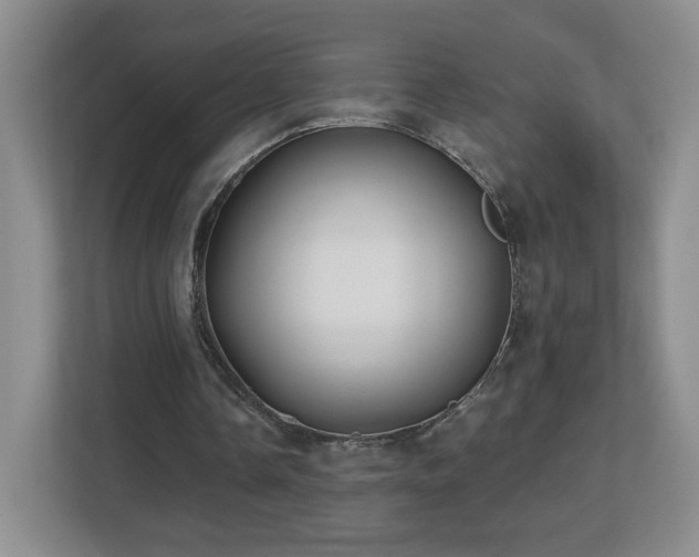 X0000112800338200908211138