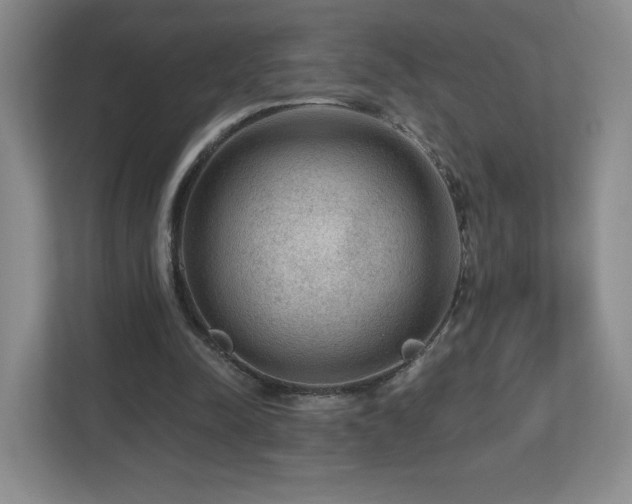 X0000112800342200908211138