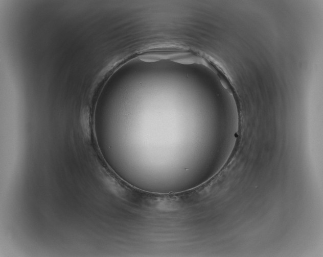 X0000112800345200908211138