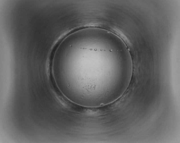 X0000112800346200908211138