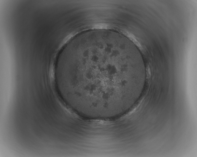 X0000112800347200908211138