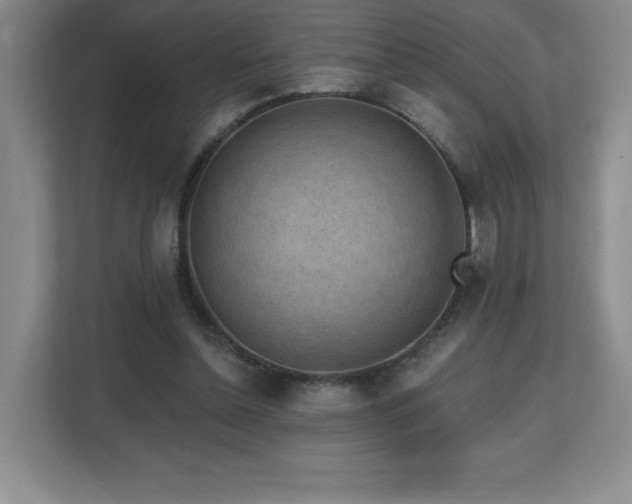 X0000112800348200908211138