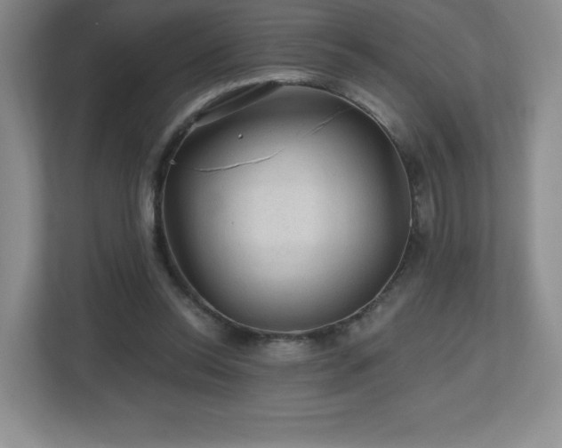 X0000112800350200908211138