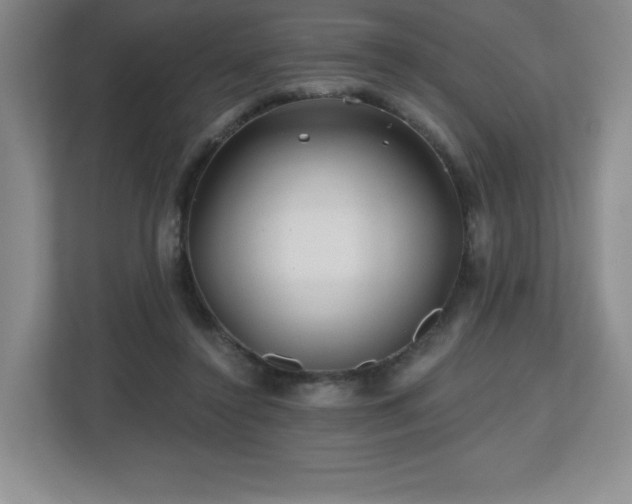 X0000112800356200908211138
