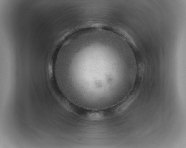 X0000112800358200908211138
