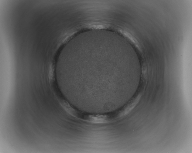 X0000112800359200908211138