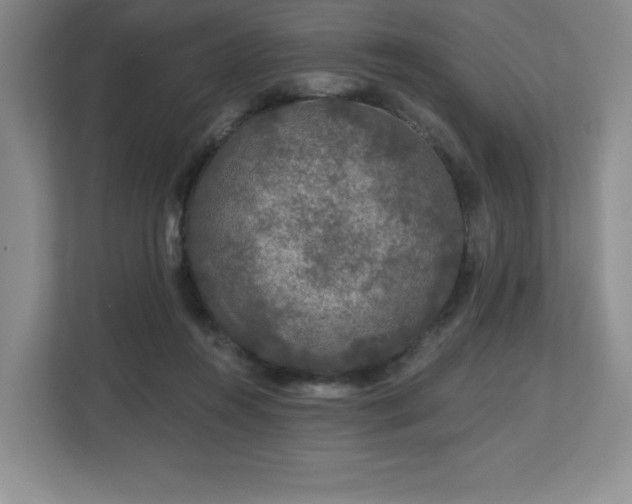 X0000112800360200908211138
