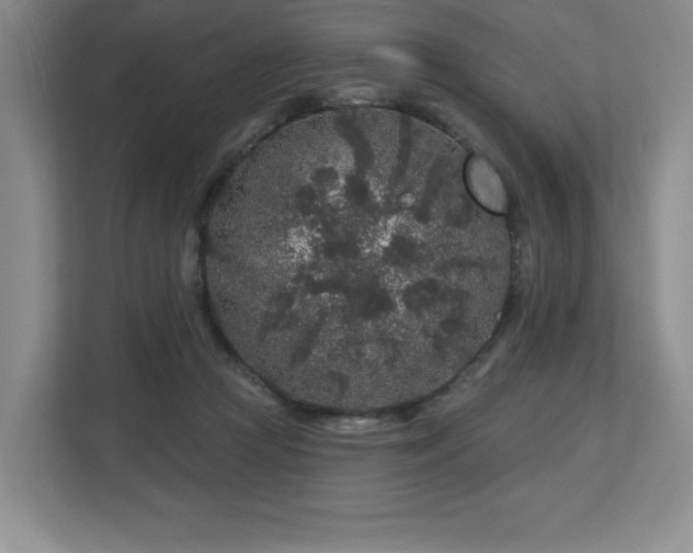 X0000112800361200908211138