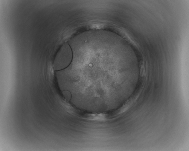 X0000112800363200908211138