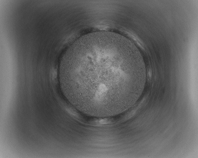 X0000112800365200908211138