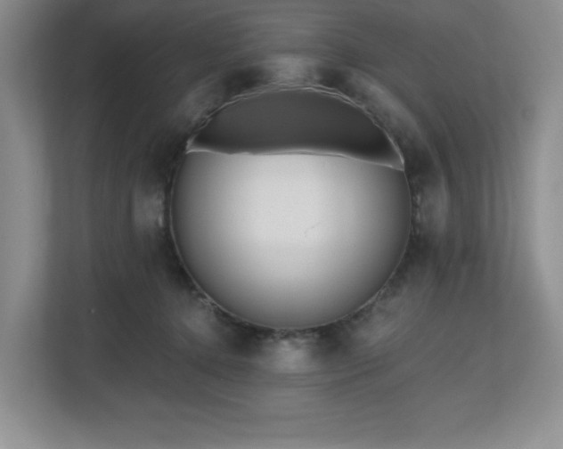 X0000112800368200908211138