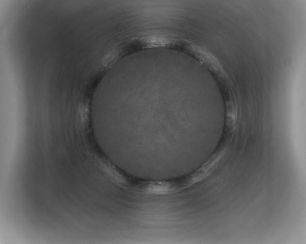 X0000112800369200908211138