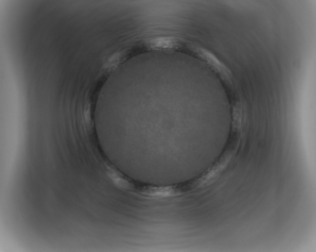 X0000112800377200908211138