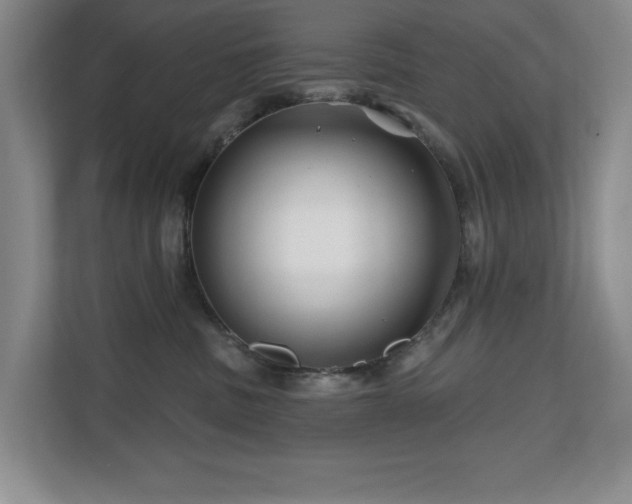 X0000112800379200908211138
