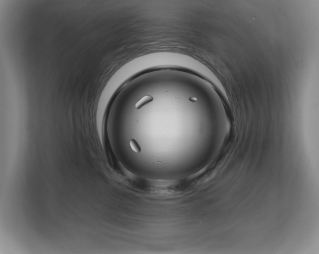 X0000112800380200908211138