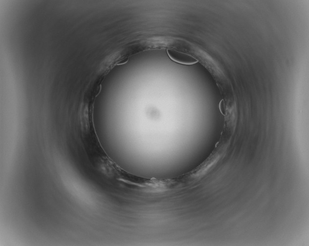 X0000112800381200908211138