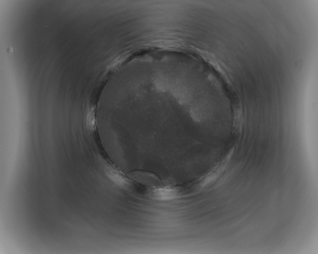 X0000112800383200908211138