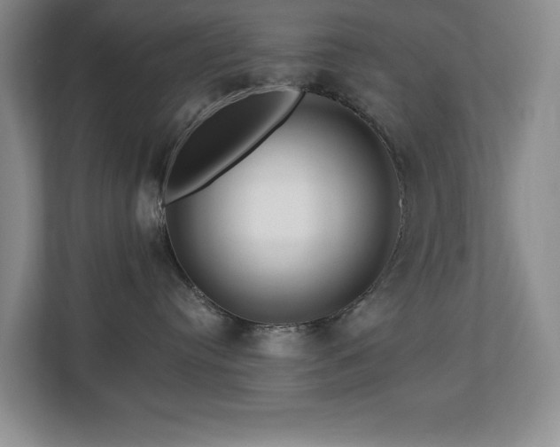 X0000112800384200908211138