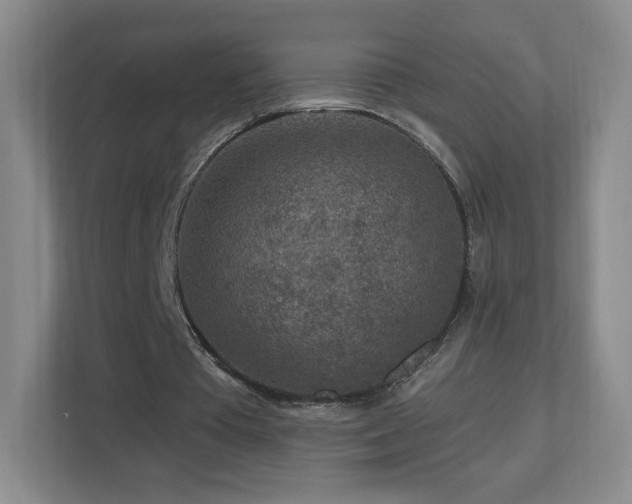 X0000112800385200908211138