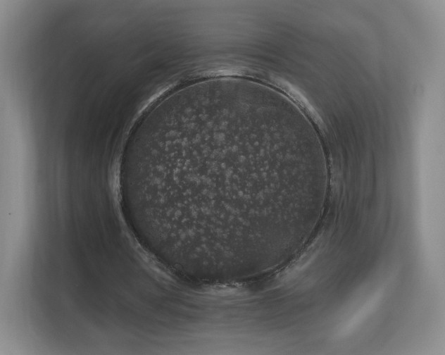 X0000112800386200908211138