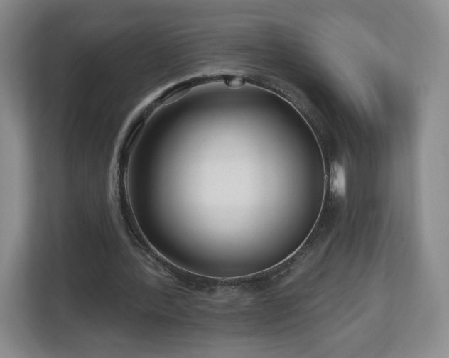X0000112800388200908211138