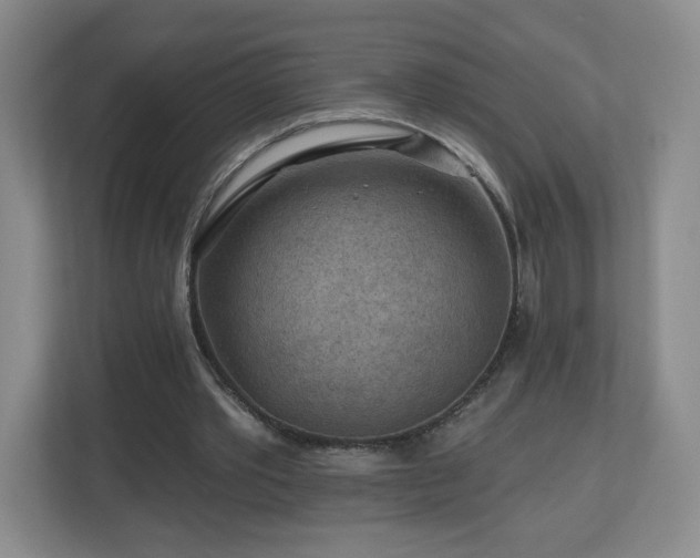 X0000112800389200908211138