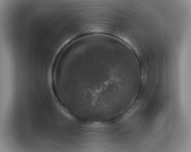 X0000112800390200908211138